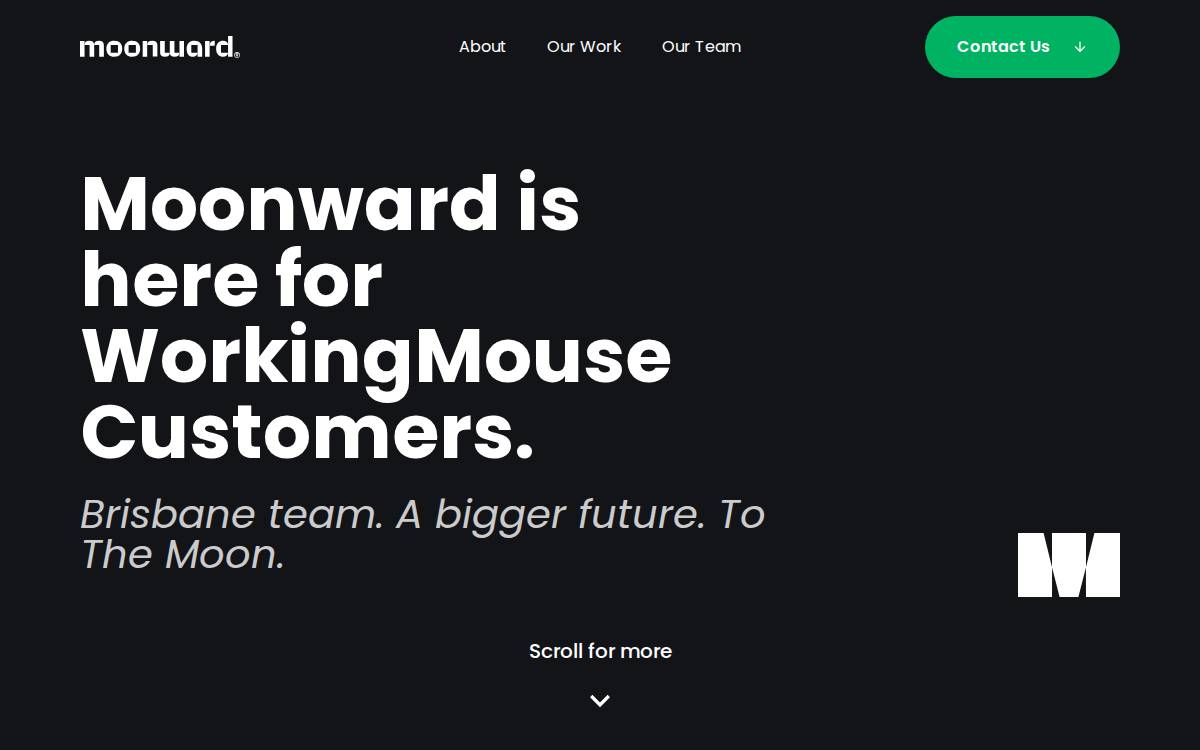 WorkingMouse website preview