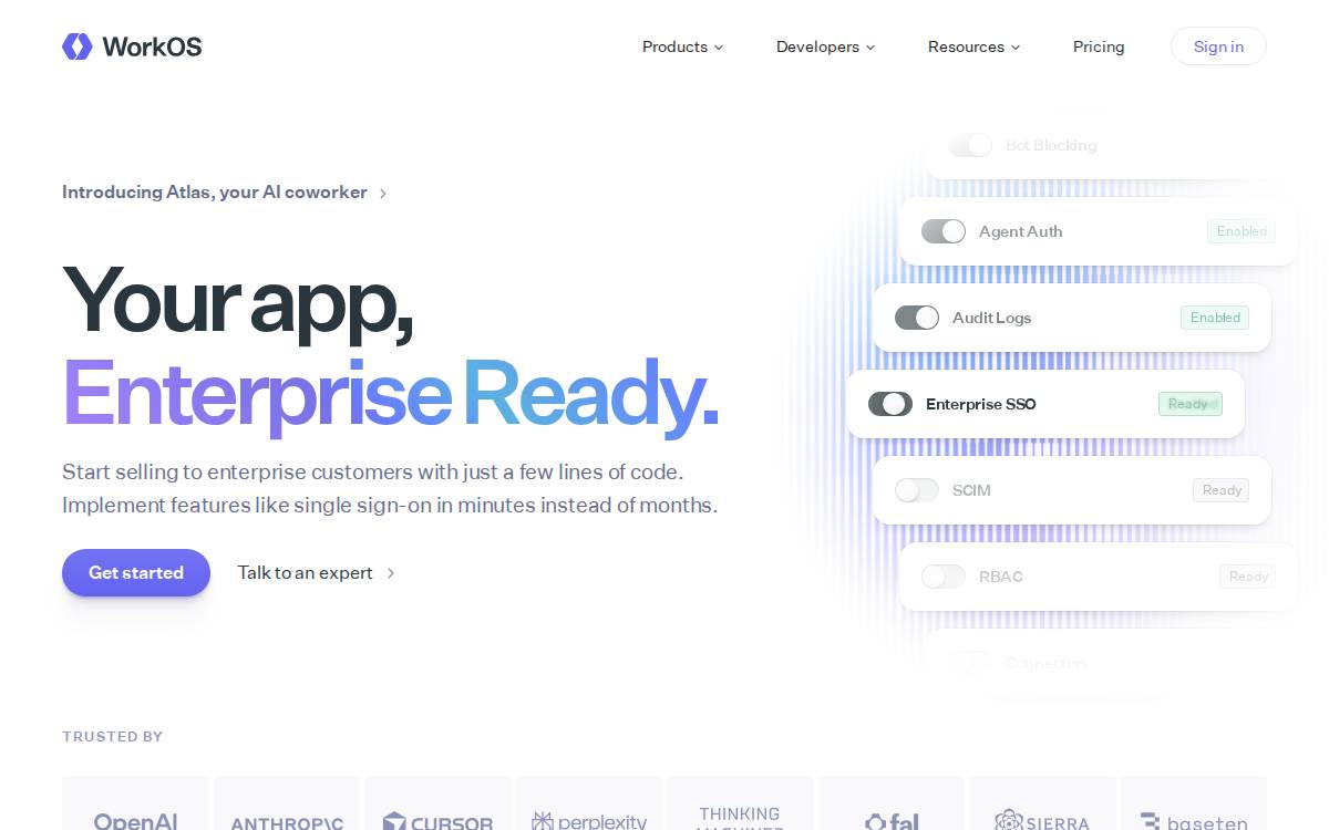 WorkOS website preview
