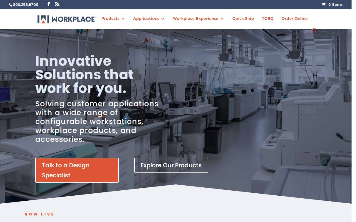 Workplacenh website preview