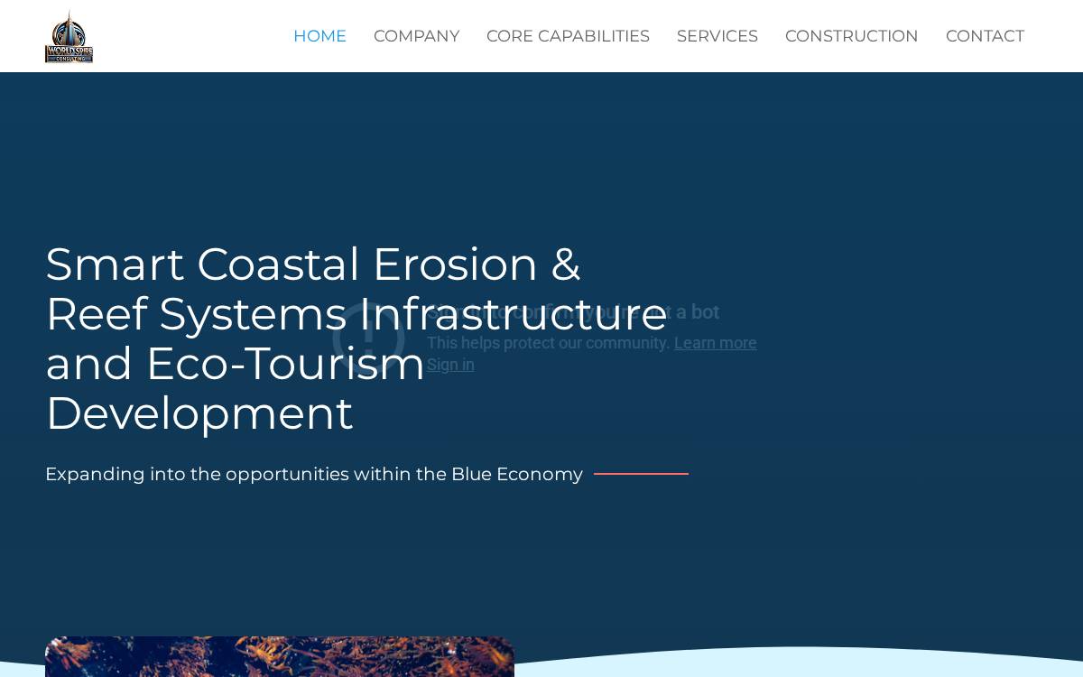 World Spire Consulting website preview