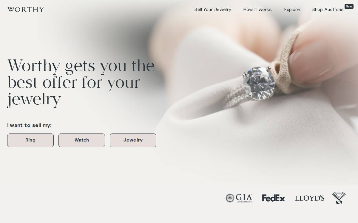 Worthy website preview