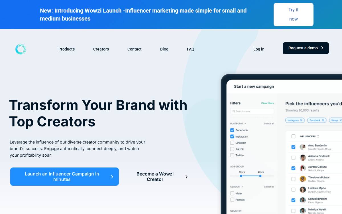 Wowzi website preview