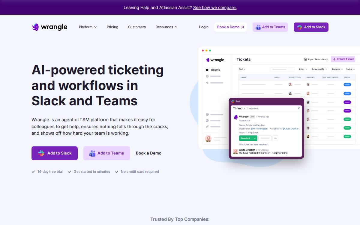 Wrangle website preview