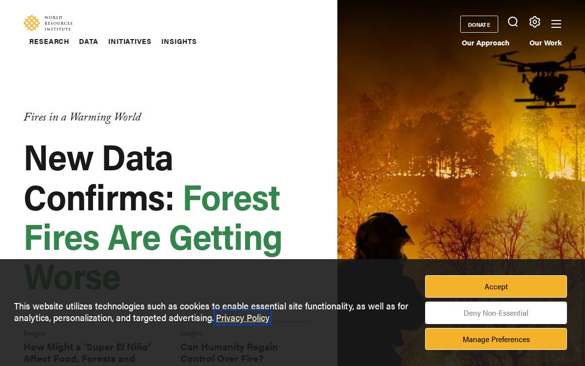 Wri website preview
