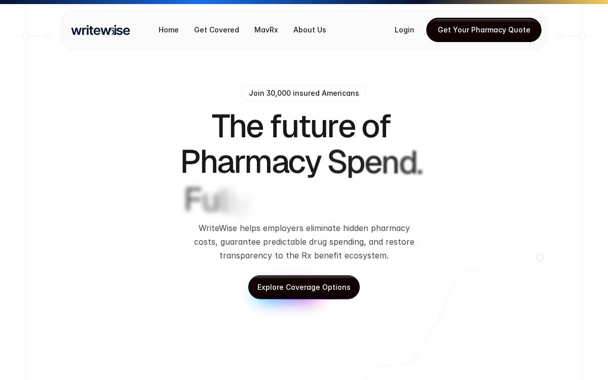 Write Wise website preview