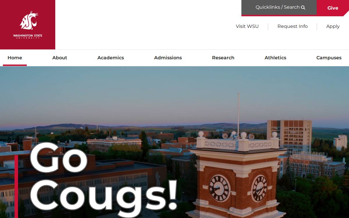 WSU website preview