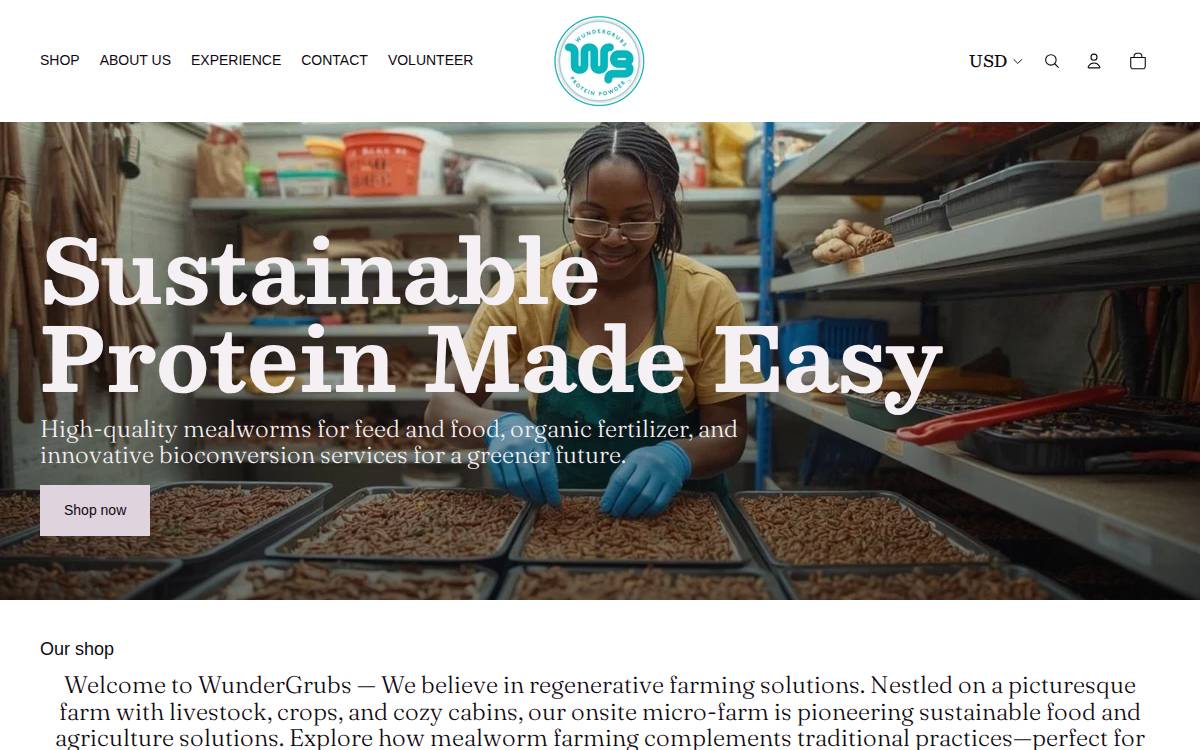 WunderGrubs website preview