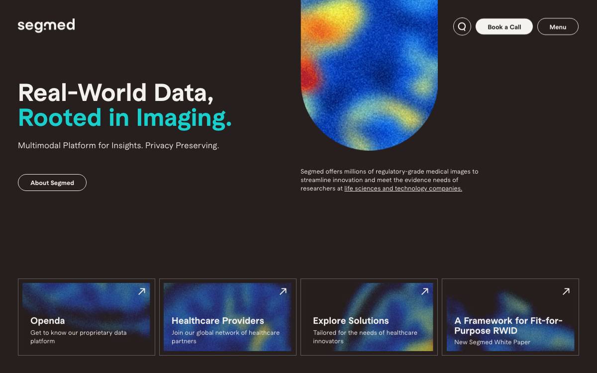 Segmed website preview