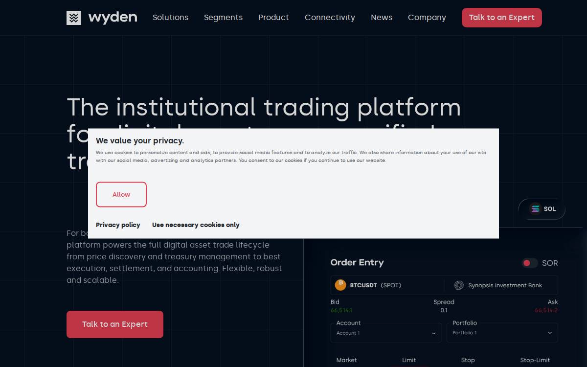 Wyden website preview