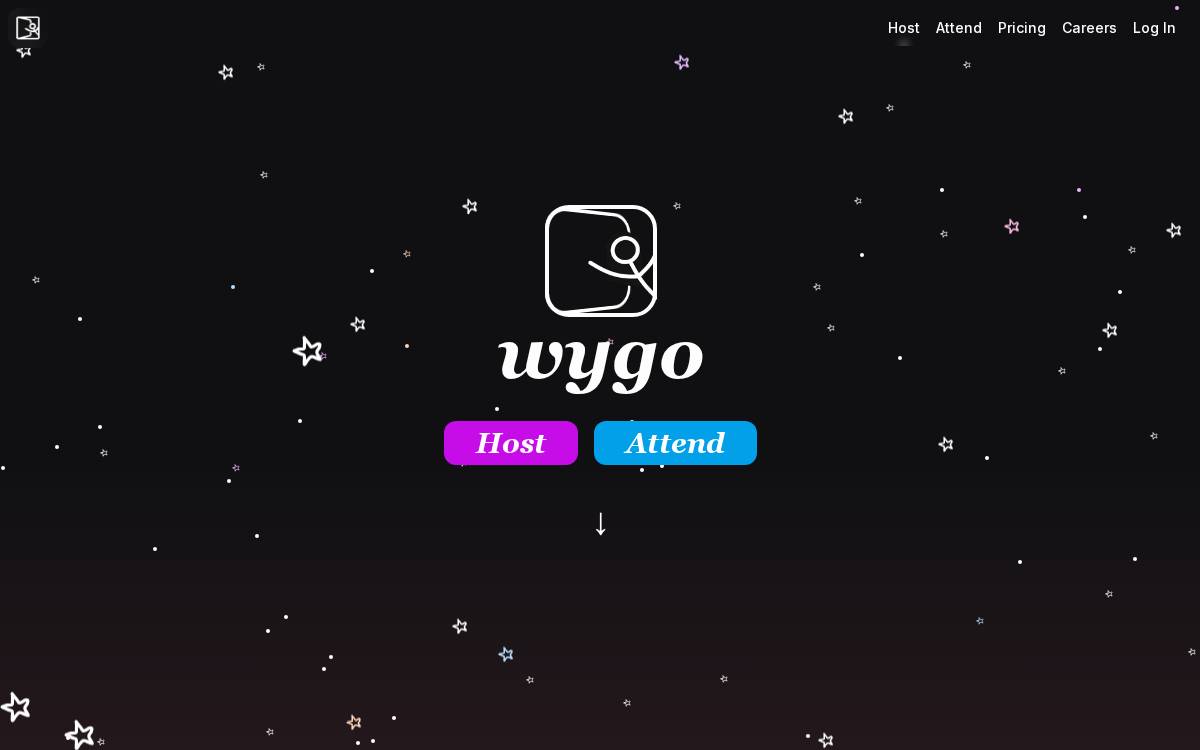 Wygo Website website preview