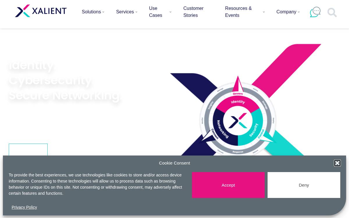 Xalient website preview