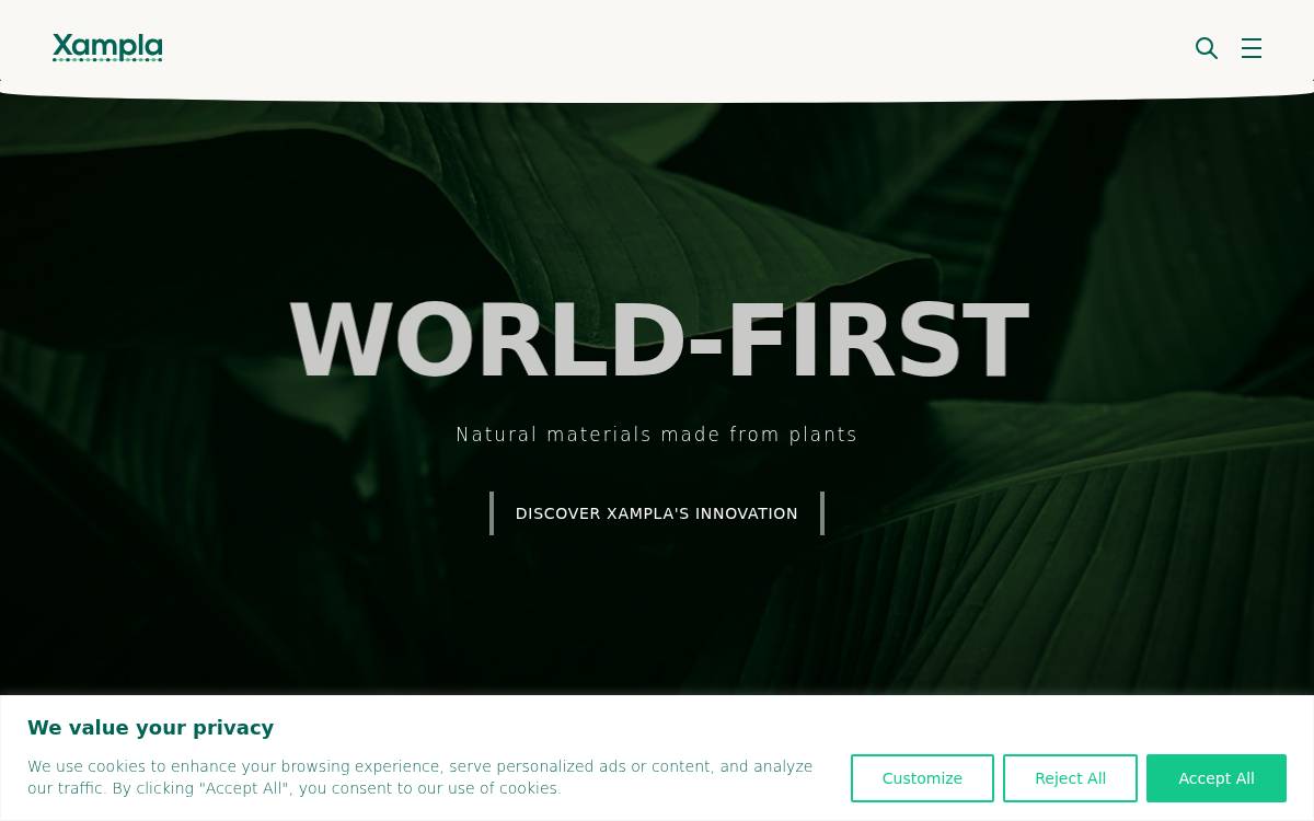 Xampla - company website preview