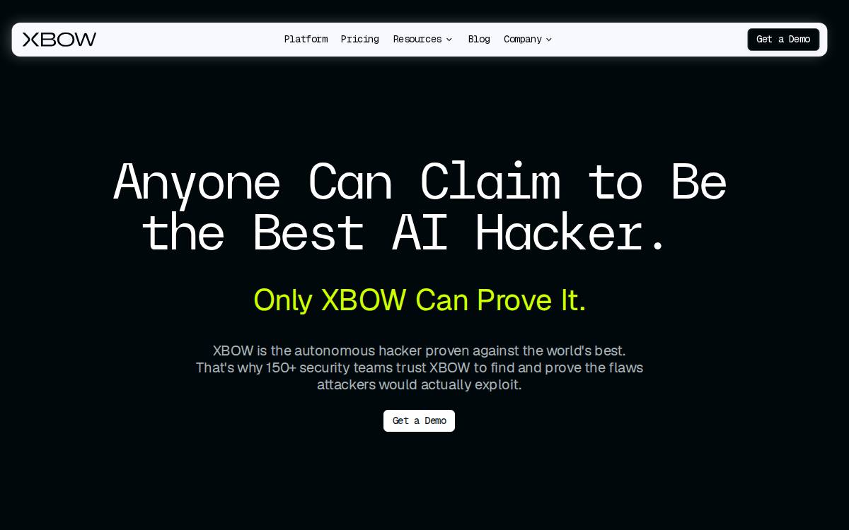 XBOW website preview