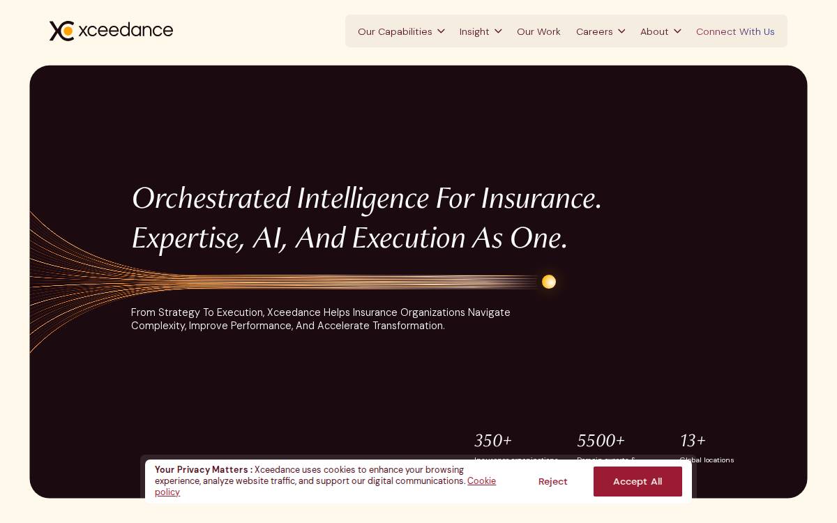 Xceedance website preview