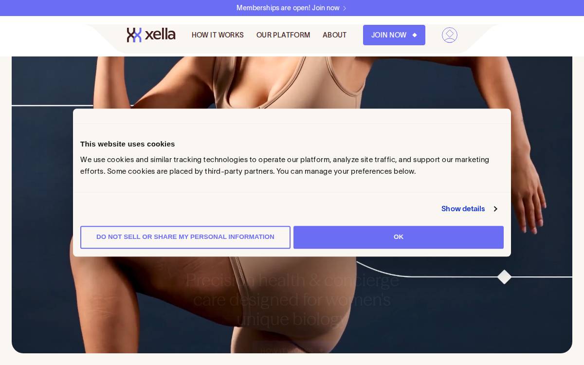 xella website preview