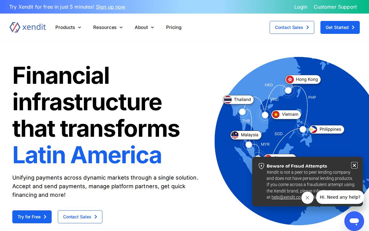 Xendit website preview