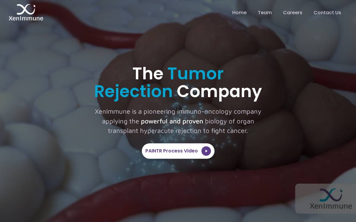 Xenimmune website preview