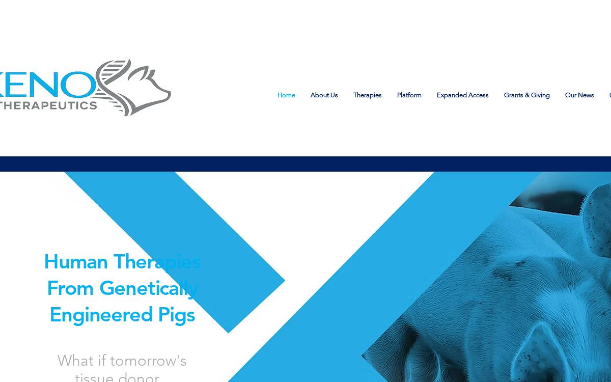 XenoTherapeutics website preview