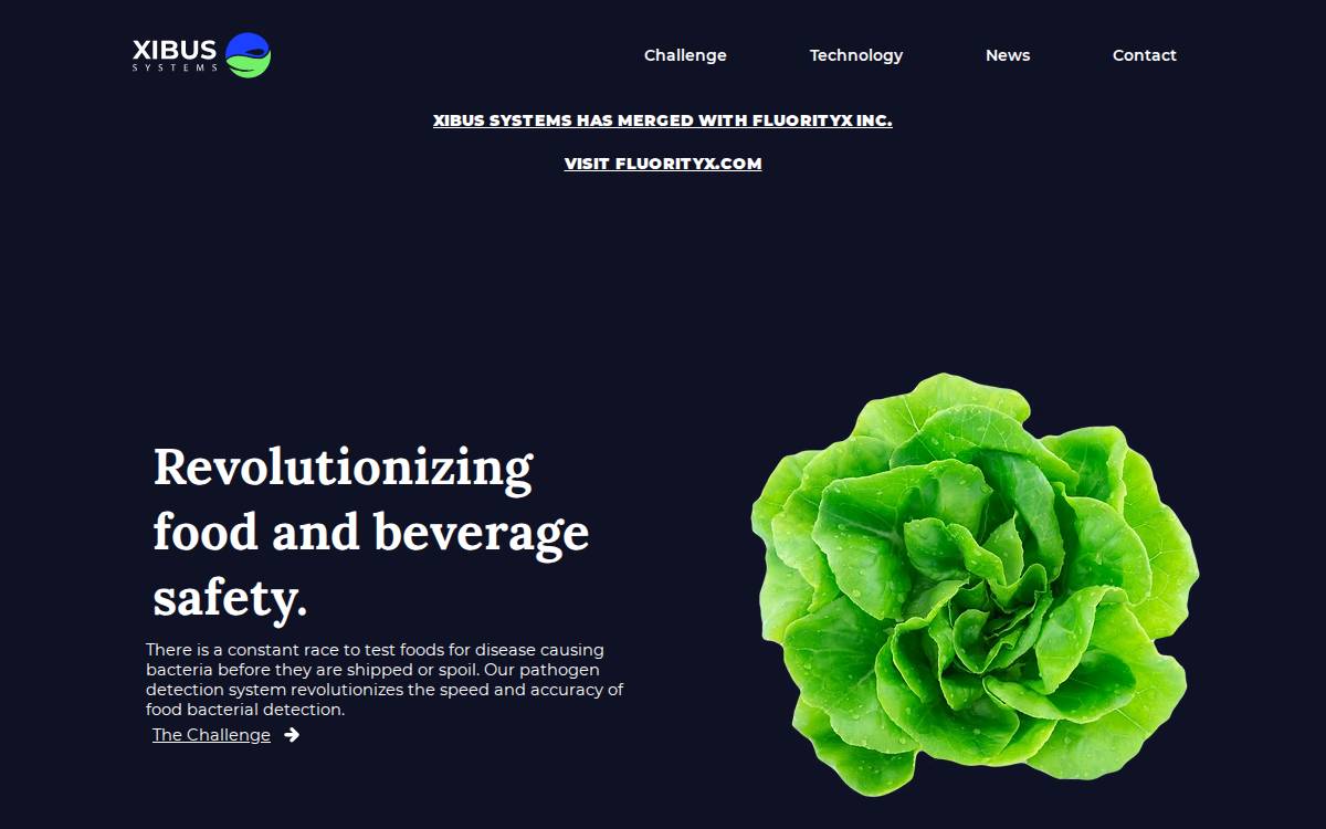 Xibus website preview