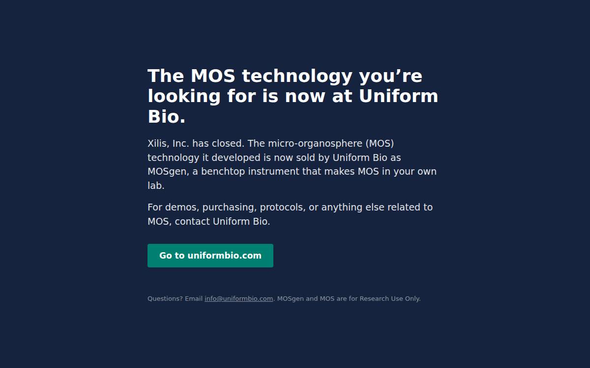 xilis website preview