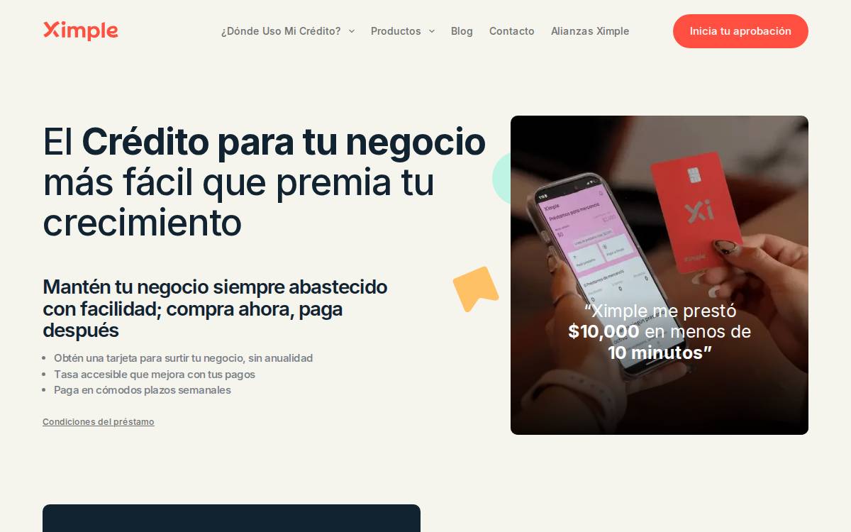 Ximple website preview