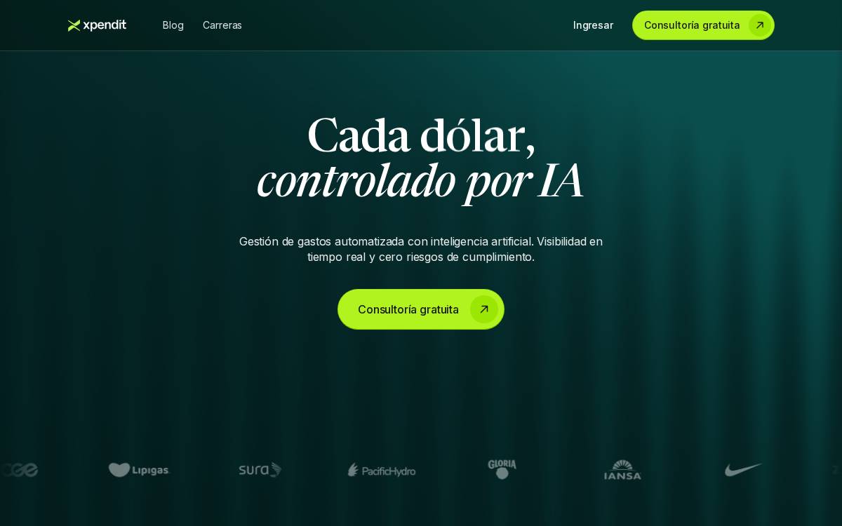 Xpendit website preview