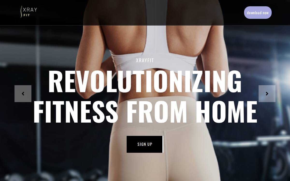 Xrayfit website preview