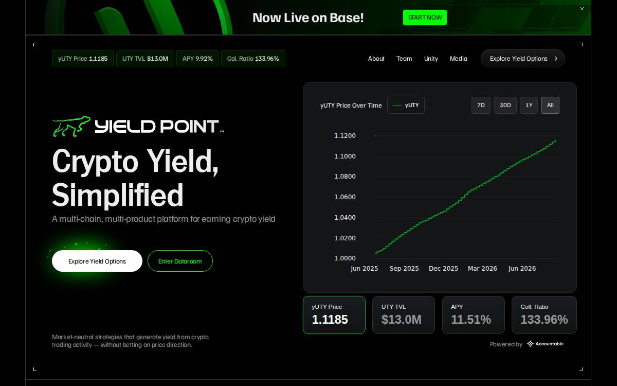 XSY website preview