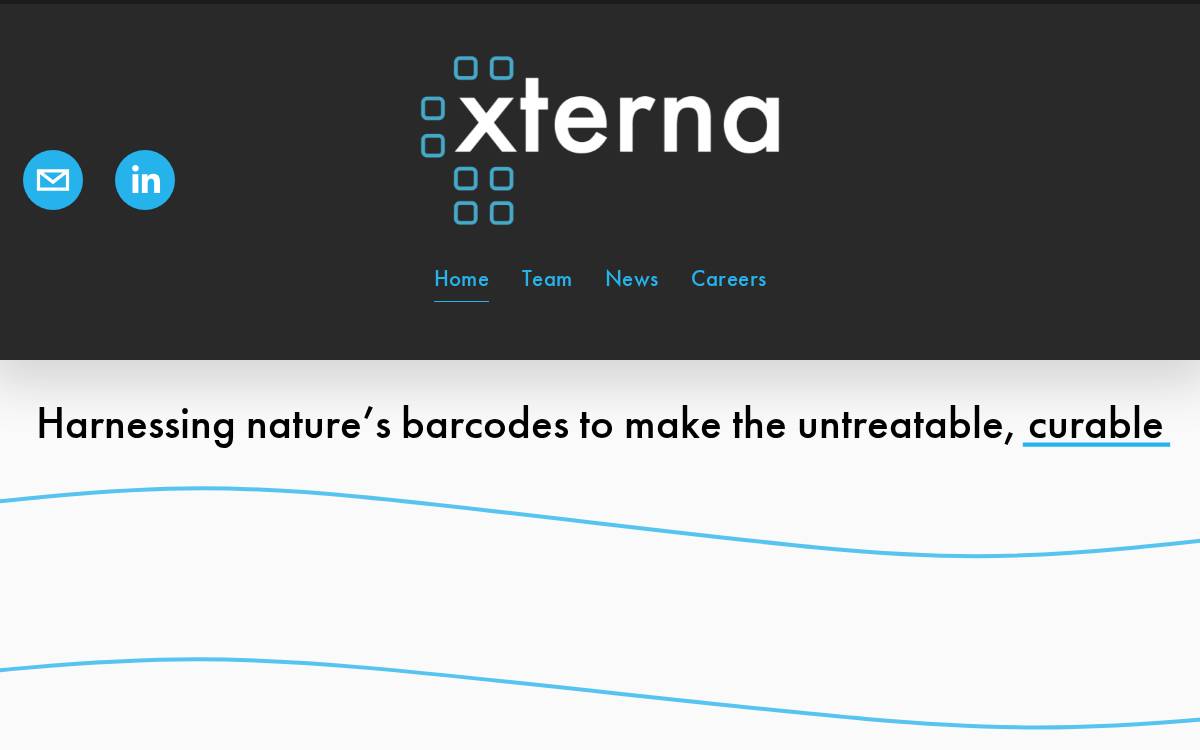 Xterna website preview