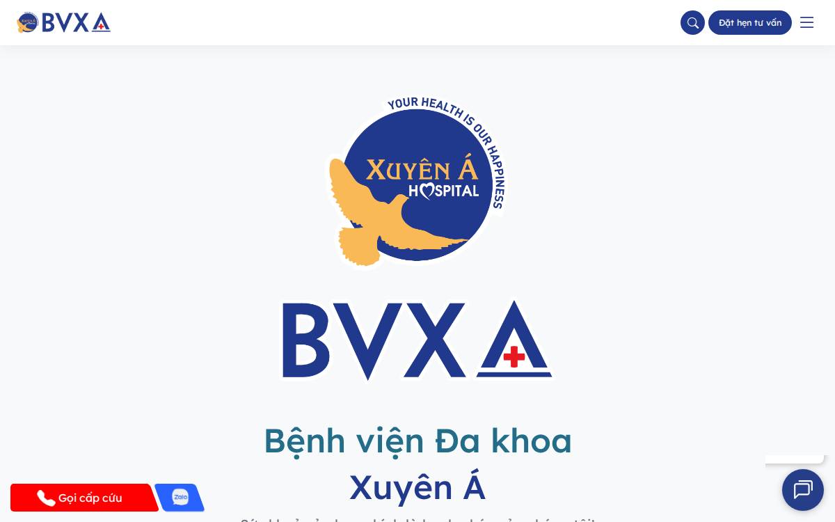 Xuyen A website preview