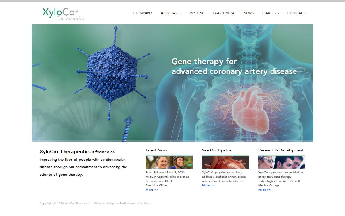 Xylocor website preview