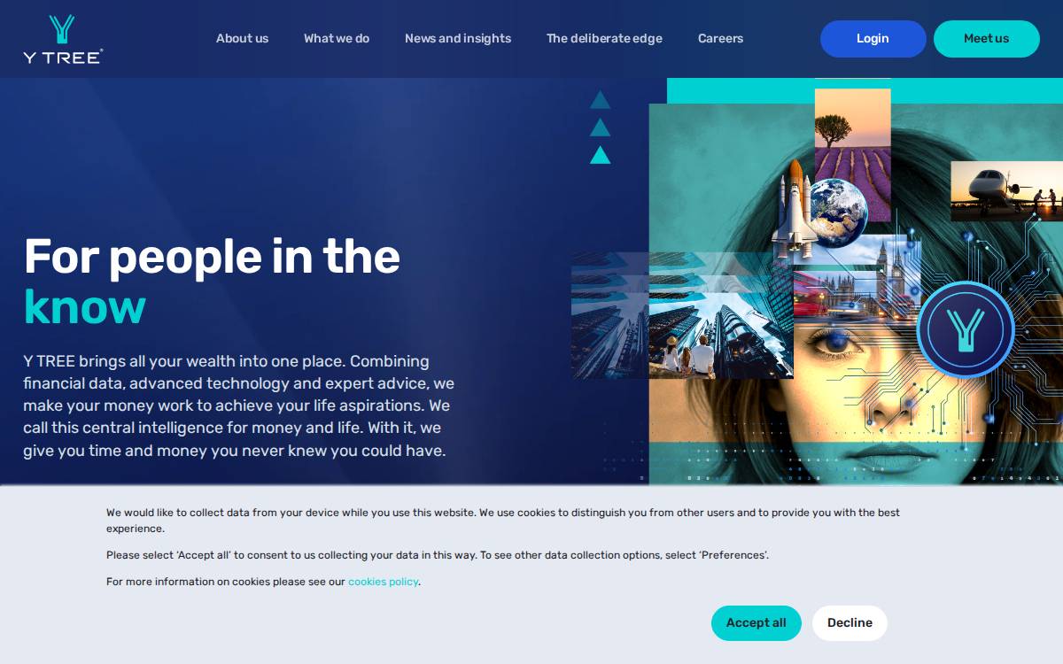 Y Tree website preview