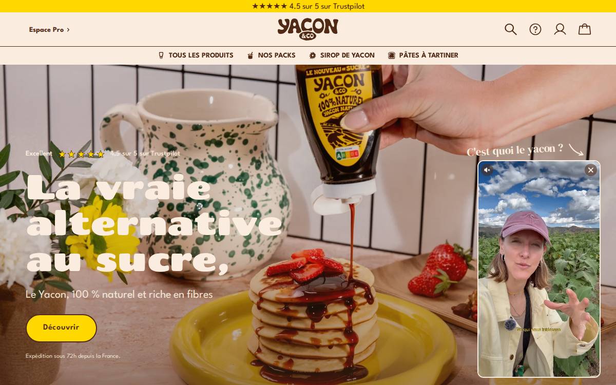 Yacon&co website preview
