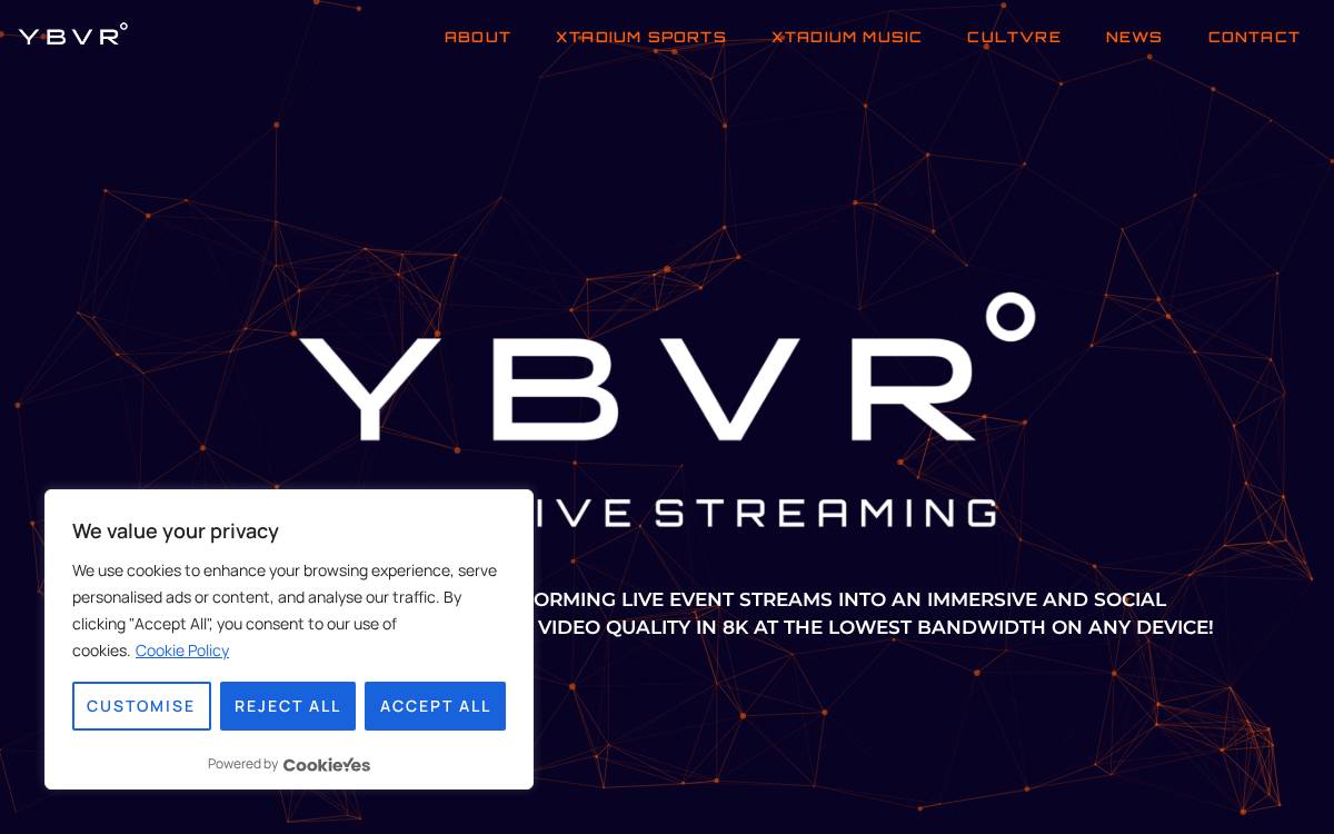 ybvr website preview