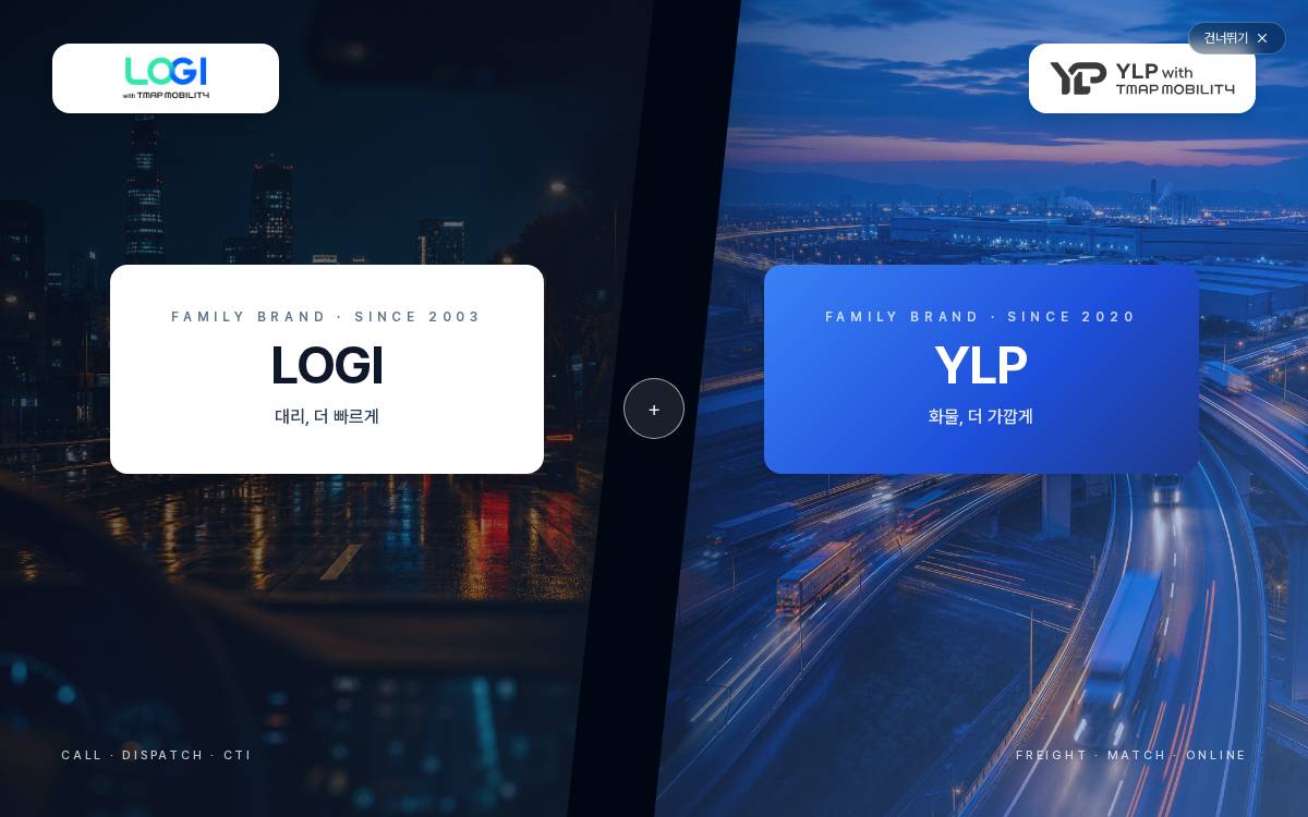 YLP website preview
