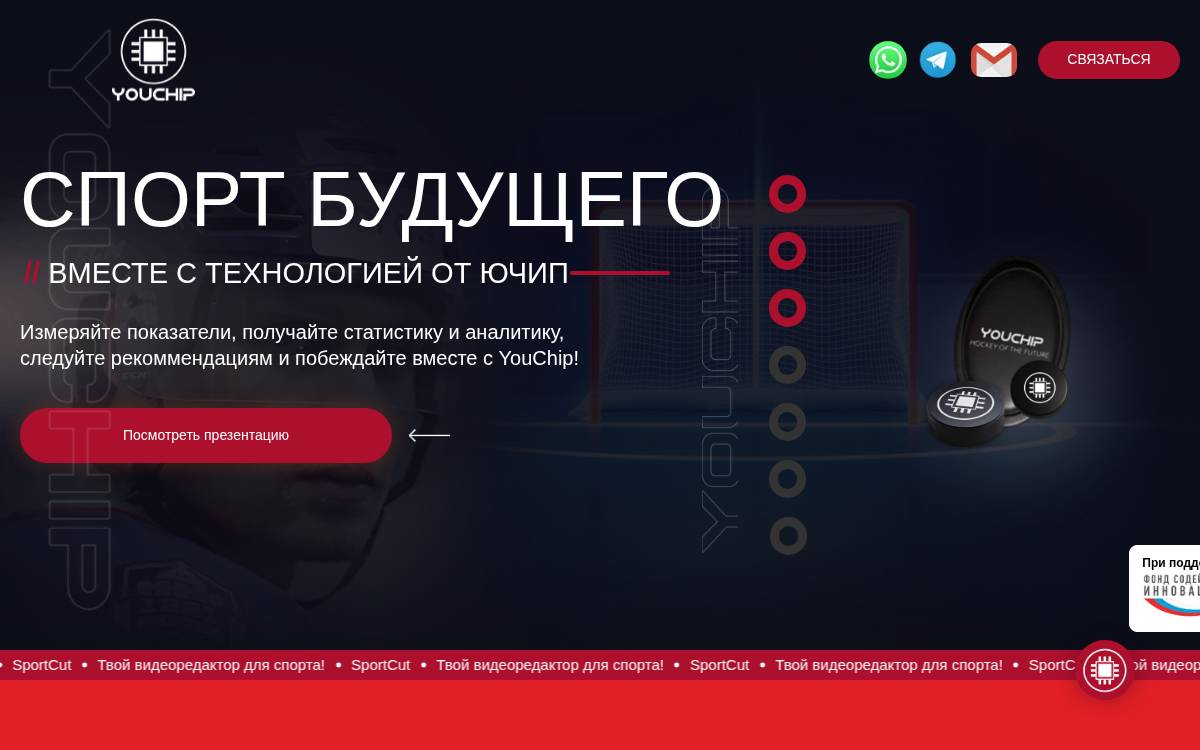 Youchip website preview