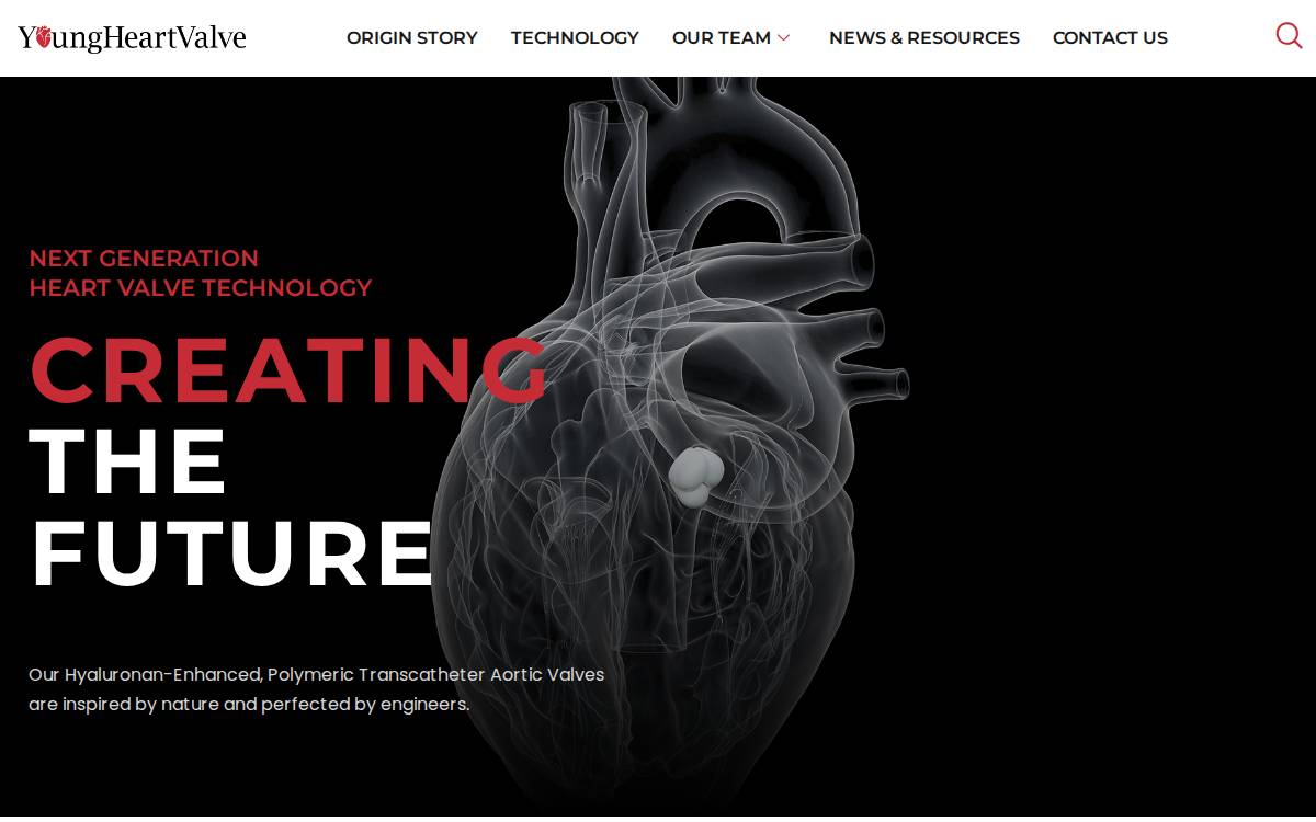 Youngheartvalve website preview