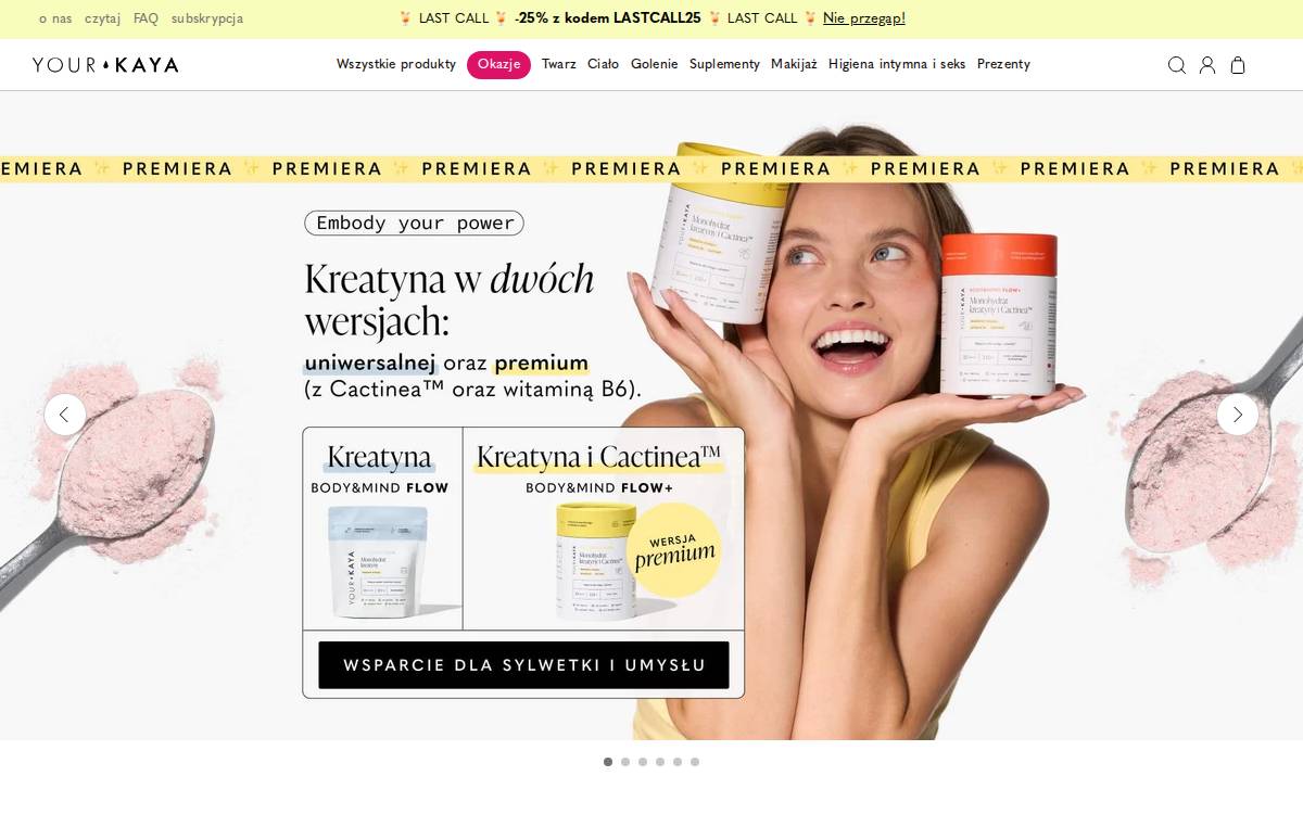 YourKaya website preview