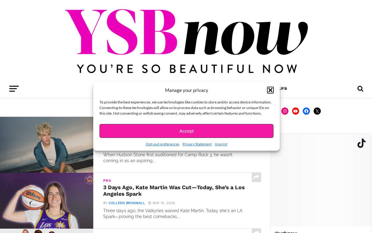 Ysbnow website preview