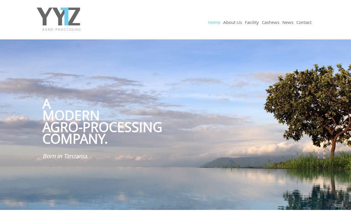 YYTZ website preview
