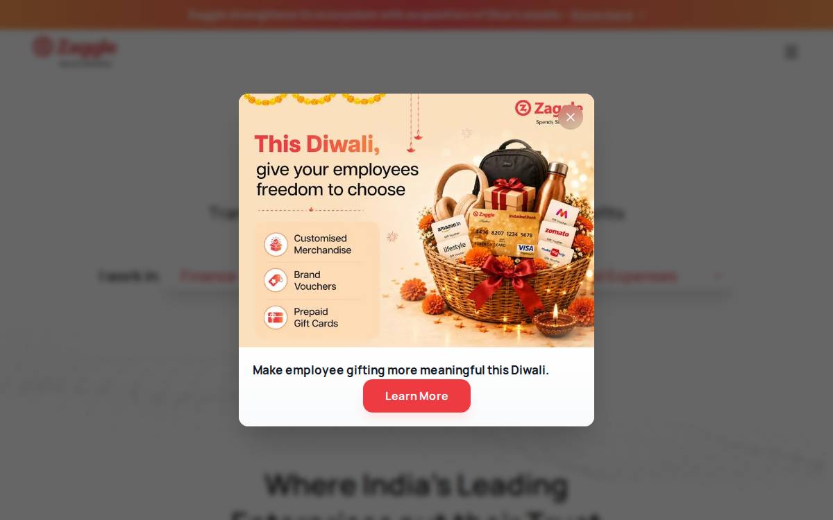 Zaggle website preview