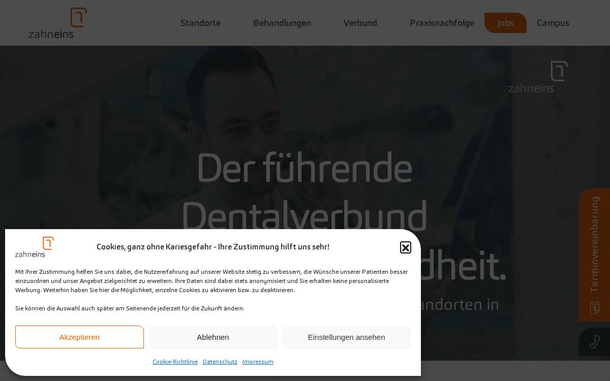zahneins website preview