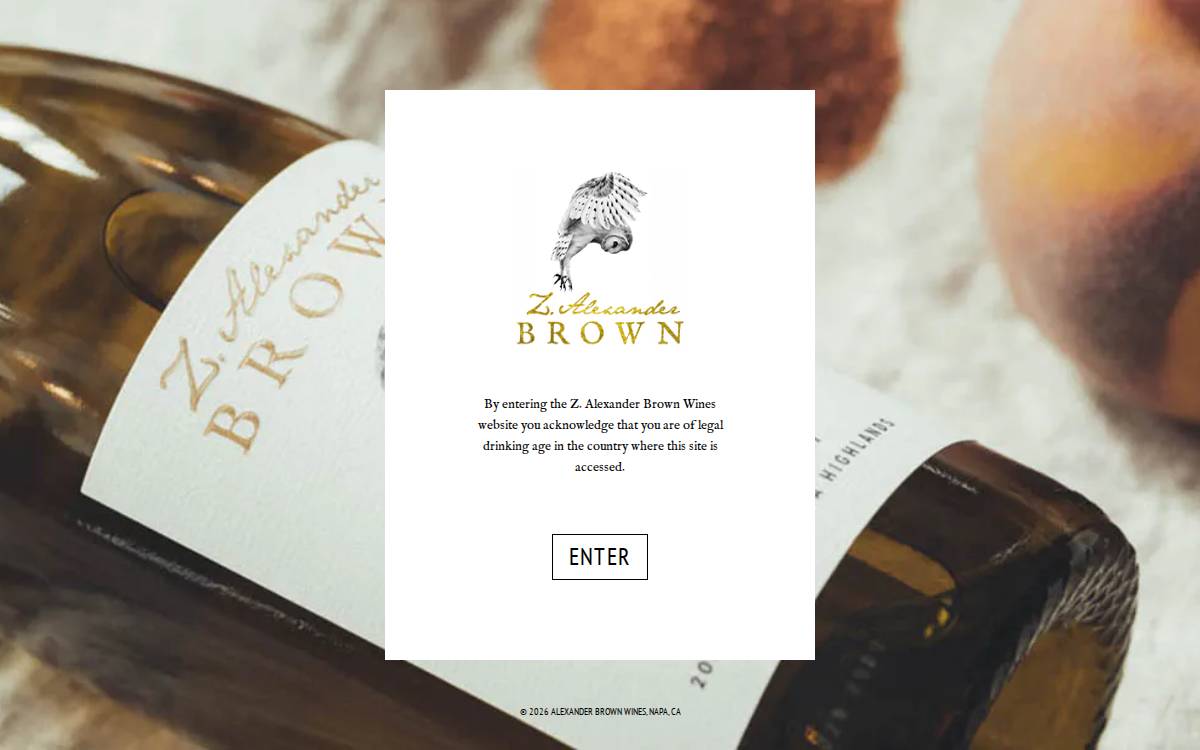 Zalexanderbrown website preview