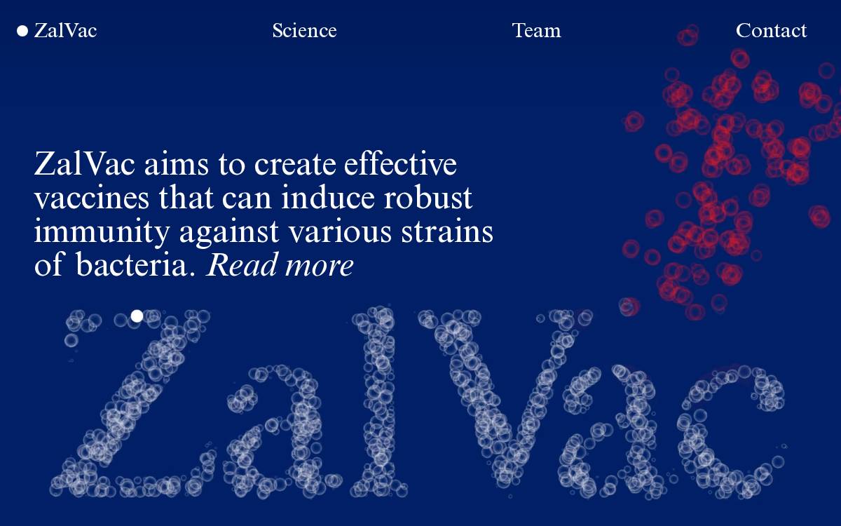 Zalvac website preview