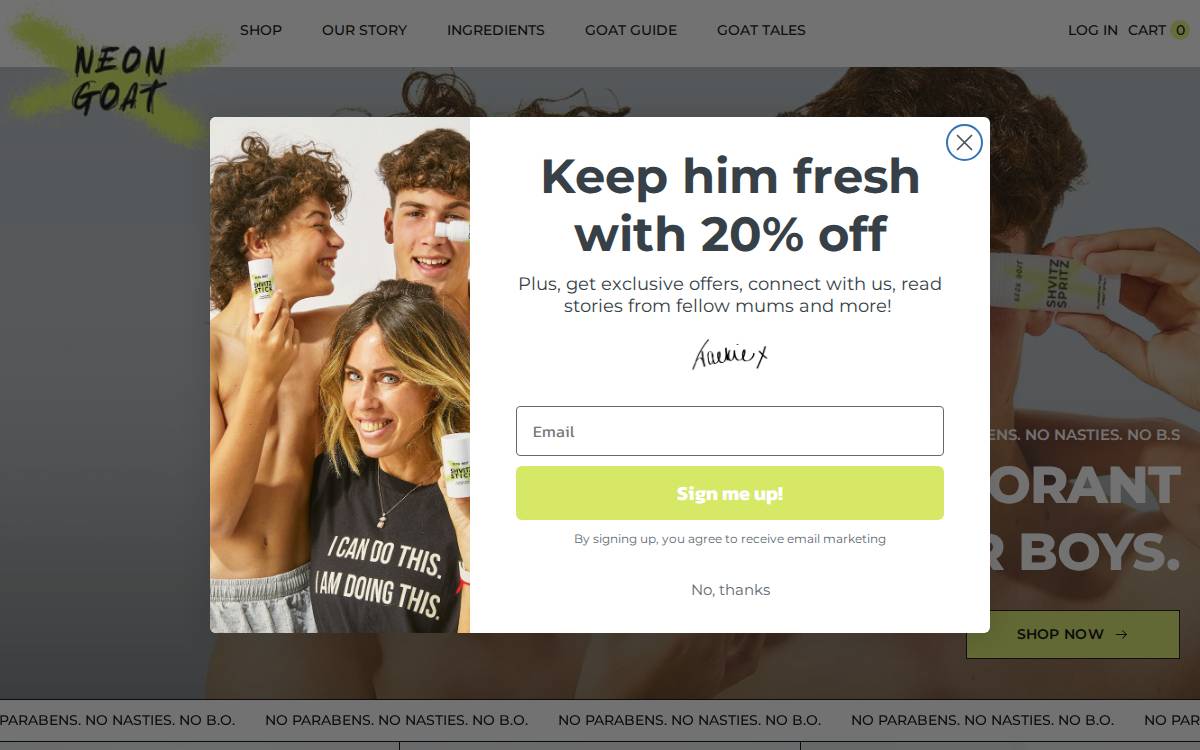 Zaptz website preview