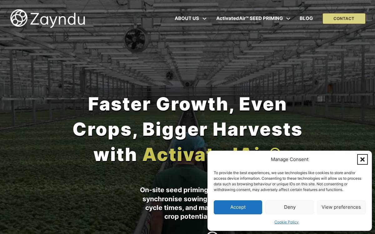 Zayndu website preview