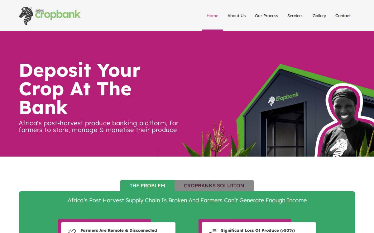 ZCB website preview