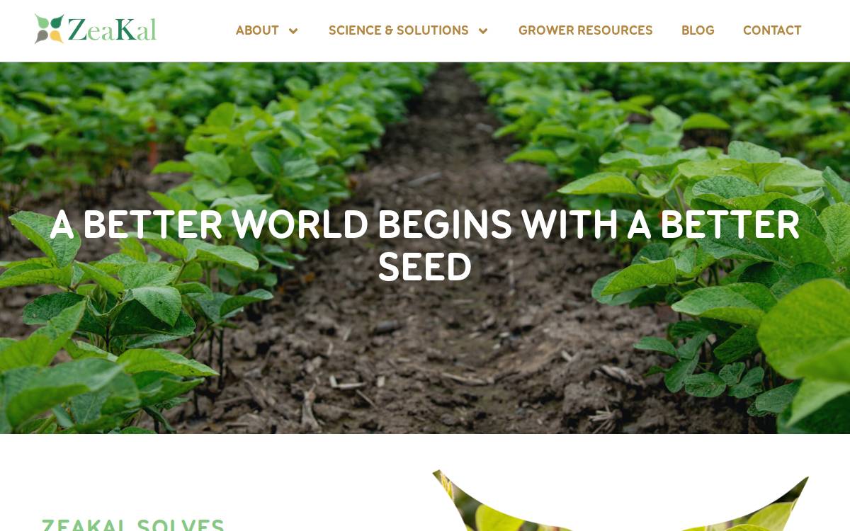 Zeakal website preview