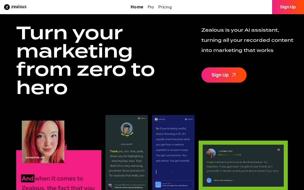Zealous website preview