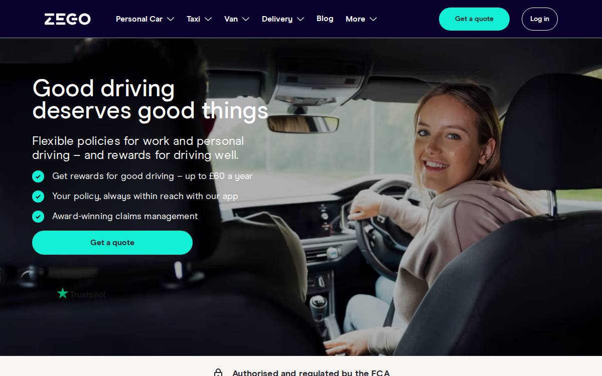 Zego website preview